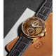 Pánske hodinky_ROBOT AERODYNAMIC BRONZE AURA PVD 2101ST06_Dom hodín MAX